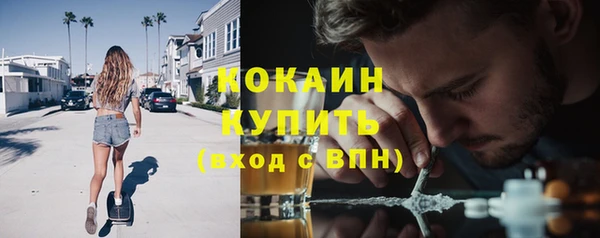 прущая мука Богородицк