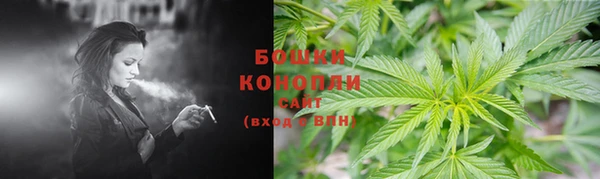спайс Новодвинск