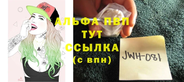 спиды Богородск