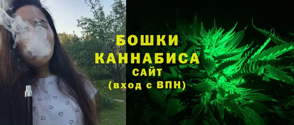 спиды Богородск