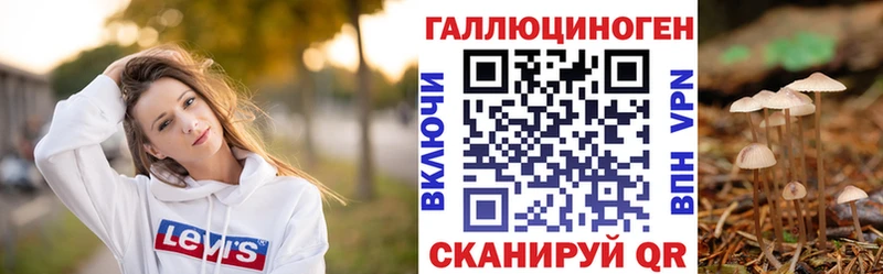 Псилоцибиновые грибы Psilocybe  купить наркотики сайты  Дудинка 